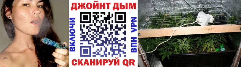 Марихуана гибрид  Вышний Волочёк 